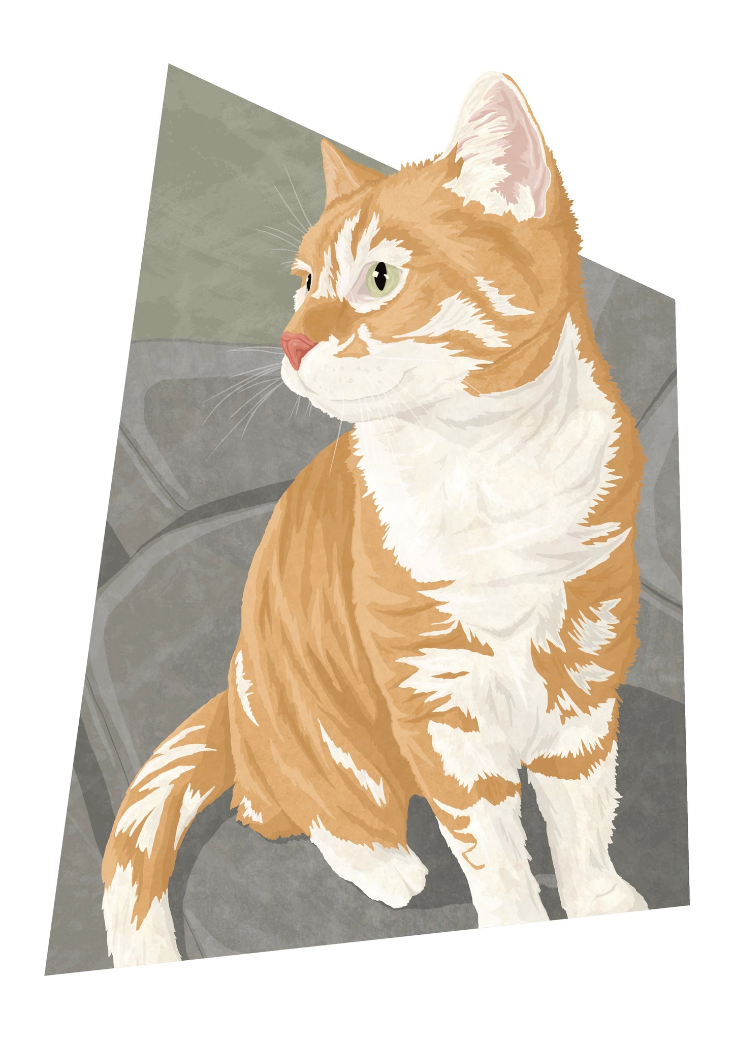 Bespoke Digital Illustration Pet Portrait