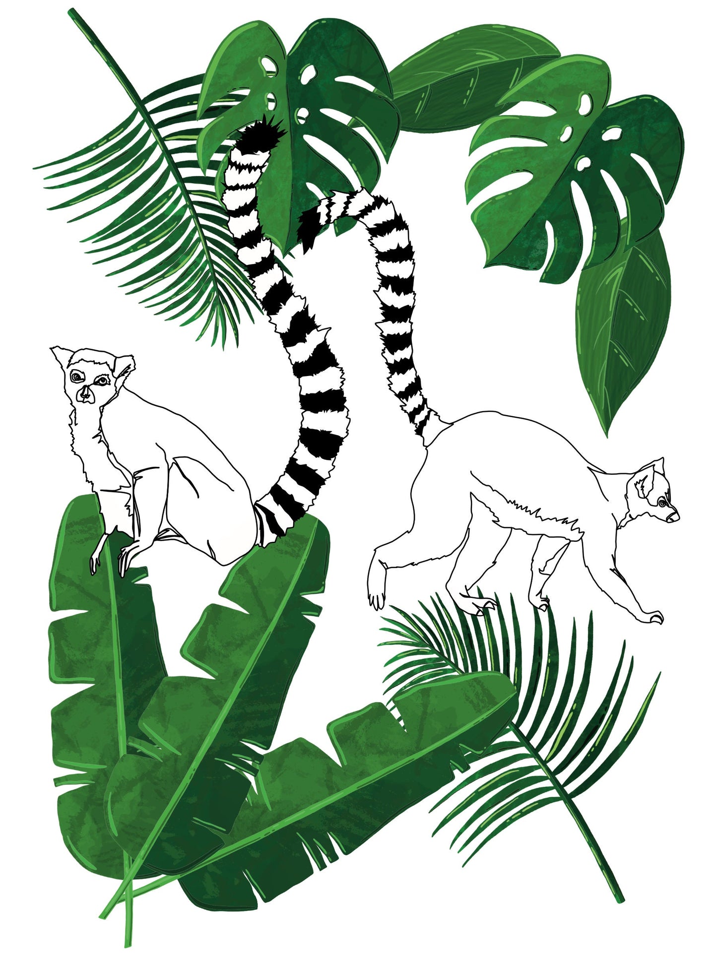 Wall Art | Lemur | Line art | Illustration Print