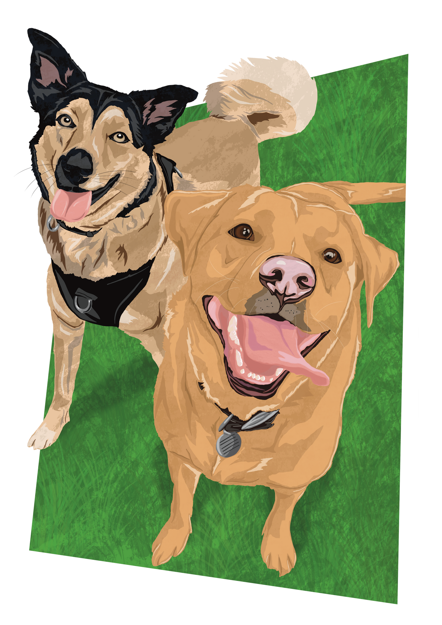 Bespoke Digital Illustration Pet Portrait